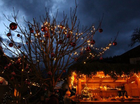 Mit Lichterkette und roten Kugeln dekorierter kahler Baum in der Abenddämmerung