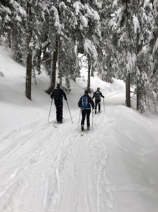 Drei Personen machen im verschneiten Wald eine Skitour nahe Berchtesgaden